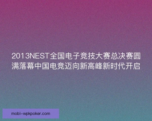 2013NEST全国电子竞技大赛总决赛圆满落幕中国电竞迈向新高峰新时代开启